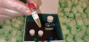 Effects of the COVID-19 pandemic in India: An analysis of policy and technological interventions